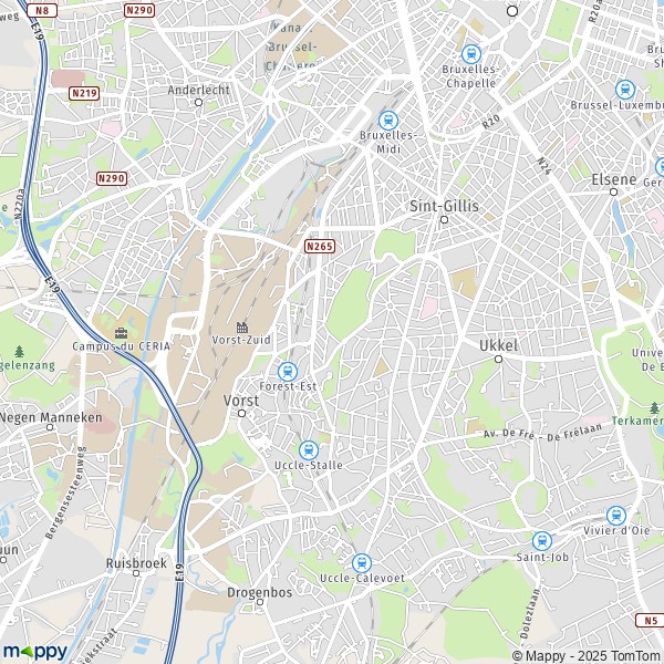 De kaart voor de stad 1060-1620 Vorst