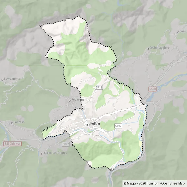De kaart voor de stad Feltre 32032