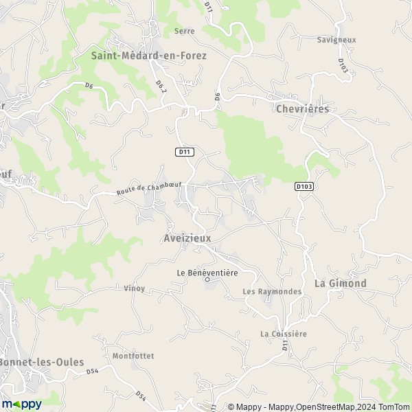 De kaart voor de stad Aveizieux 42330