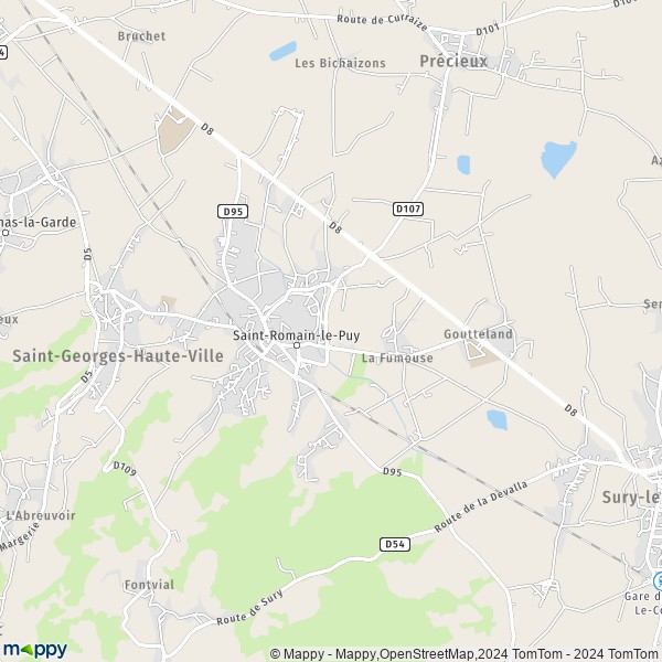 De kaart voor de stad Saint-Romain-le-Puy 42610