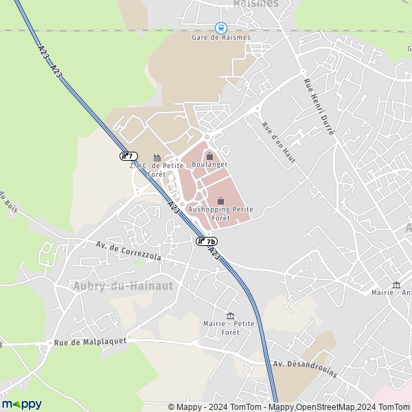 De kaart voor de stad Petite-Forêt 59494